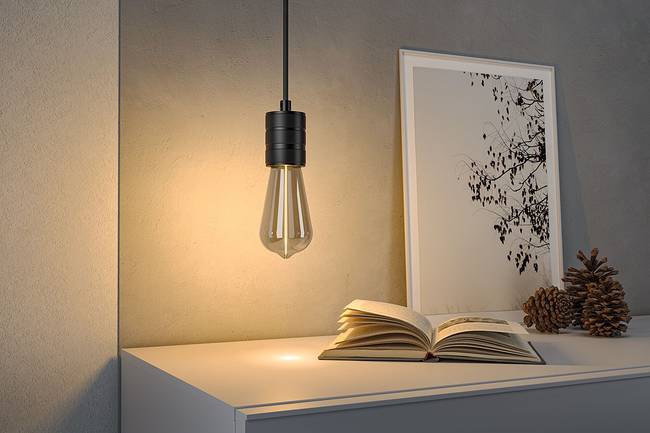 LED-Leuchtmittel Floating Shine ST64 6 x 14 x 6cm Durchsichtig/Grau