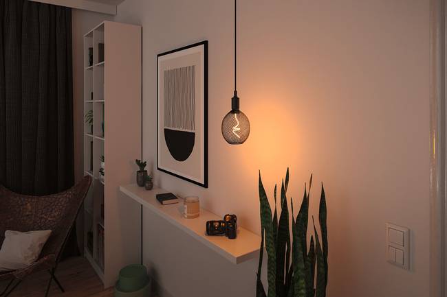 LED-Leuchtmittel Typ A Ø 11cm Schwarz/Schwarz