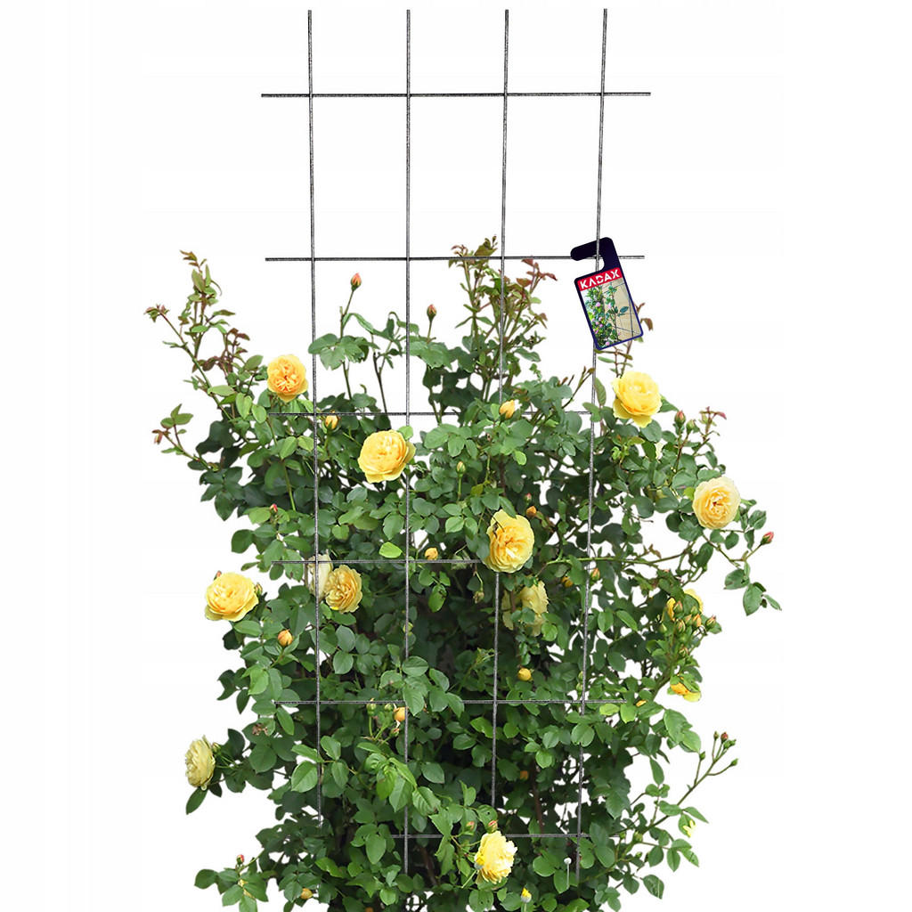 Kadax Blumengitter, Schwarz, Metall, 60x150 cm, Gartenz